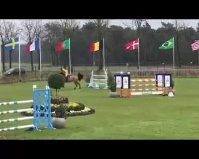 Cavalos de Salto: de A a Z – Cavalo de Salto Argentina